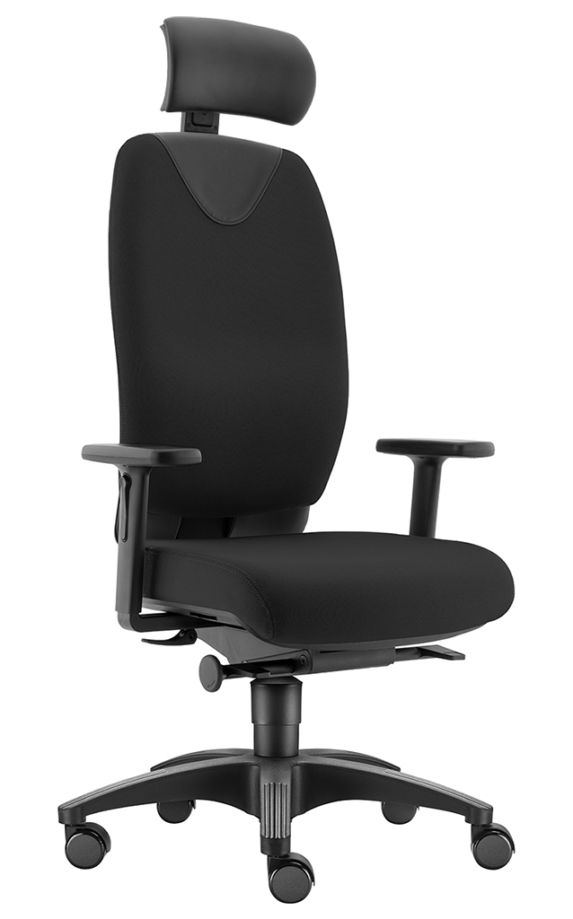 Evo L mit Kopfstütze